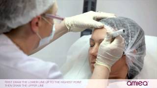 amiea academy for micropigmentation  PERFECT EYEBROWS  Episode 5  Permanent Makeup [upl. by Tamma]