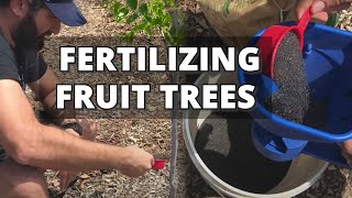 How and When to Fertilize Fruit Trees  Back Yard Orchard [upl. by Anastasie133]