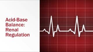 AcidBase Balance Renal Regulation [upl. by Svirad]