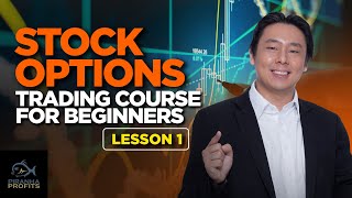 Stock Options Trading Course for Beginners Lesson 1 Part 1 of 2 [upl. by Ilenay]