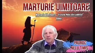 NELU TIMIȘ  Marturie Uimitoare  Fratele Nelu din judetul Bihor  Live [upl. by Aimaj]