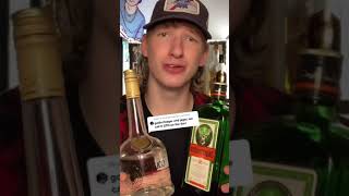 REAL GOLD Goldschlager Cinnamon Liquor amp Jager Mix Is it good [upl. by Ahsitak]