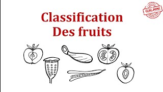 Classification des Fruits  GuilMini [upl. by Temple926]