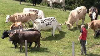 Urlaub in der Region Villach  Sport Spaß und Action auf der Gerlitzen [upl. by Candra469]