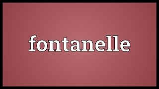 Fontanelle Meaning [upl. by Neeka]