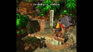 Donkey Kong Country SNES  Bugs del mapa [upl. by Agripina972]