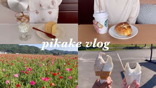 《vlog》楽しいゴールデンウィーク😘花畑をお散歩スノマニDVD食べすぎたお休み [upl. by Ellenohs53]