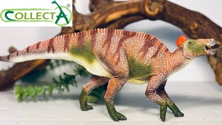 CollectA 2022 Deluxe Edmontosaurus Review [upl. by Chlo889]