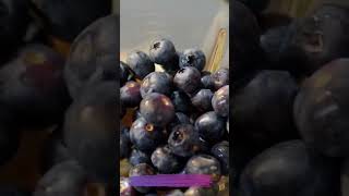 The Smoothie Diet weightlossdiet weightloss weightlosstransformation foryou viral [upl. by Dominga497]