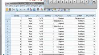 Archivo SPSS y sintaxisavi [upl. by Ettelracs]