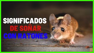 ⩥ QUE SIGNIFICA SOÑAR CON RATONES PEQUEÑOS CORRIENDO  DESCUBRELO✓ [upl. by Witcher]