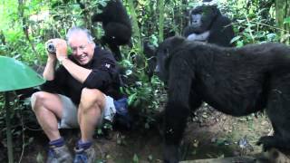 Extraordinary Encounter with Mountain Gorillas in Bwindi Uganda [upl. by Corinna]