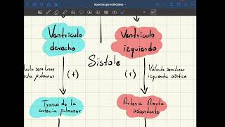 Generalidades del sistema cardiovascular [upl. by Alexi]