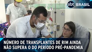 Número de transplantes de rim ainda não supera o do período prépandemia  SBT Brasil 130424 [upl. by Enniotna]