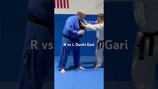 R vs L Ouchi Gari [upl. by Rhody383]