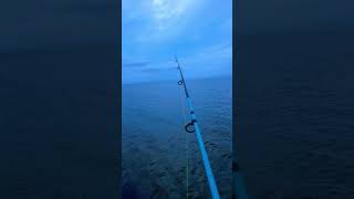 Fishing the Pamlico Sound [upl. by Barrada]