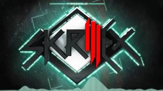 Skrillex Syndicate [upl. by Ybocaj]