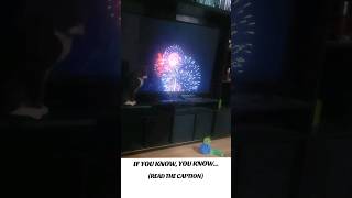 Firework desensitization counter conditioning with border collie puppy Pawsitrain Fireworks [upl. by Corbet]