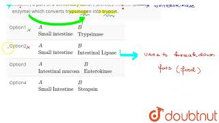 A…  a part of a alimentary canal  secretes B… an enzyme which converts tryps [upl. by Elvira639]