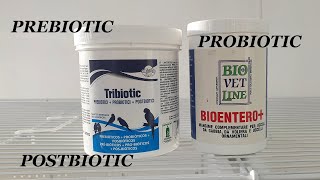 Tribiotic vs Symbiotic  Prebiotic vs Probiotic vs Postbiotic [upl. by Ocsirf]