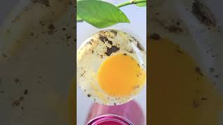 1 Minute Mayonnaise Recipe  Easy Spread and Dip to make at home [upl. by Mindi]