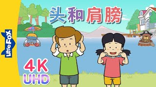 4K 头和肩膀 Head and Shoulders  SingAlongs  Chinese song  By Little Fox [upl. by Guod]