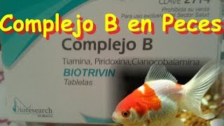 Complejo B en Peces de agua Dulce y Marinos [upl. by Imalda]