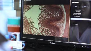 Automated fluorescence microscope demo video – EVOS FL Auto [upl. by Enriqueta]