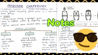 Molecular Chaperones features classification function 😎😎 [upl. by Dorisa]