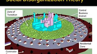 Social Disorganization Theory [upl. by Lasonde225]