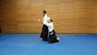 Hanmi hantachi waza Katate dori Irimi nage [upl. by Urias]