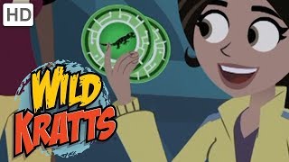 Wild Kratts  Top Season 1 Moments 2 Hours  Kids Videos [upl. by Gniw]