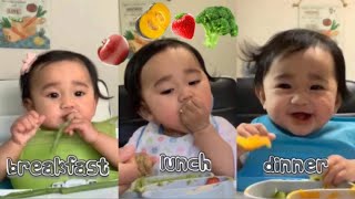 WHAT MY 8 MONTH OLD BABY EATS IN A DAY  JAPAN LIFE [upl. by Otilesoj200]