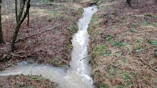 quotThe Trenchquot Managing water coming from a neighboring property [upl. by Arved]