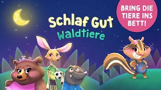 Schlaf Gut Waldtiere 🌲 Geschichte zum Einschlafen für Kinder ab 2 mit Tieren und Musik 🌲 Gute Nacht [upl. by Narf]