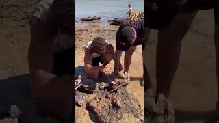 😍💦ARNHEM LAND 🤯🐠 REMOTE BEACH CAMPING ⛺️COBOURG PENNINSULA arnhemland travelaustralia [upl. by Cohn]