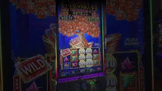 👻 SPOOKY BONUS BEWARE shorts slots casino [upl. by Richer124]