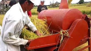 Champion in Rice Threshing Contest quotFASTBELT Rice Thresherquot [upl. by Edme]