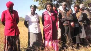 Zimbabwe Dairy Fodder Pilot Project [upl. by Mehta93]