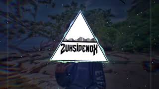 Dunnie moombah chill Zuksidenox remix NP Records 2024 [upl. by Pennebaker]