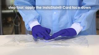 Staining Agarose Gels using Instastain Ethidium Bromide [upl. by Lorilee417]