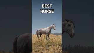 Horse with The Highest Stats  RDR 2 [upl. by Enimsaj]