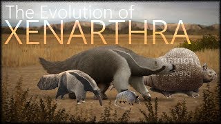 Evolution of sloths and armadillos [upl. by Aitercul]