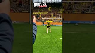 BVBFans verabschieden Reus mit Choreografie Shorts [upl. by Kemme121]