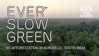 Ever Slow Green Full Movie SOS from Auroville [upl. by Orlan607]