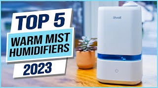 Top 5 Best Warm Mist Humidifiers 2024 [upl. by Wilma]