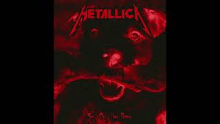 Metallica  Spit Out the Bone Fecal Bones Timeline [upl. by Farly643]