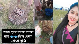 বিকেল ঝিল পারে পুরো তাজা তাজা মাছ জেলে রা ধরছে 🐟🐟🐟 খুব মজা লাগছিল সত্যি [upl. by Lanette91]