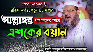 গতকালকে মাহফিলে আল্লাহর পাগলদের নিয়ে শায়েখে চরমোনাইর এশকের বয়ান। Mufti Foyzul karim Cormonai New Waz [upl. by Ailerua748]