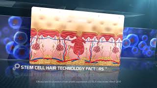 Stem Cell Hair Technology Factors New Zealand TV Commercial 30sec [upl. by Gilboa168]